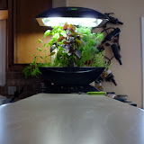 AeroGrow