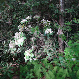 2009 Girls' Weekend