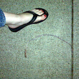 2009 worm