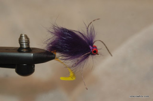 curly tail bunny