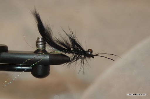 helgramite nymph