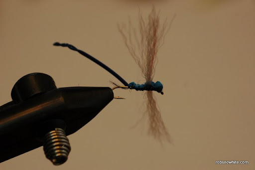 damsel