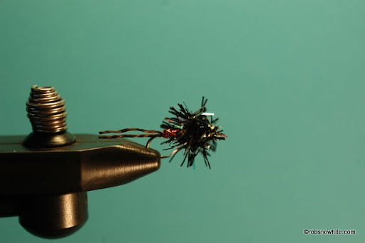 wire rib stonefly