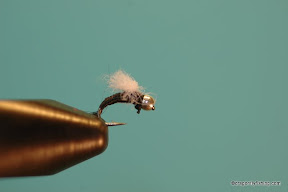 Colorado Bridge Midge