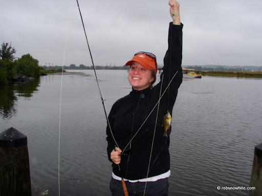 sunfish