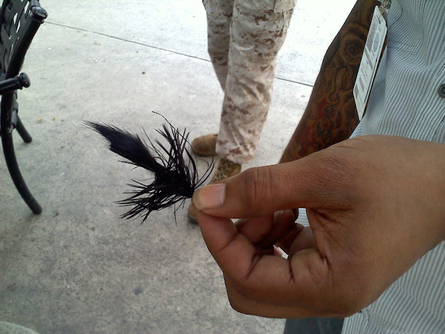 tube fly 