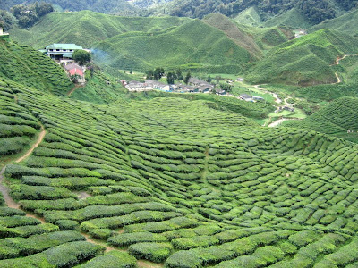 Малайзия - Сингапур, январь'09, фото