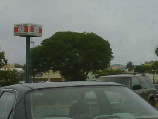 [IMG00159-20090514-1224-751288.jpg]