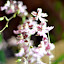DSC_0750.JPG