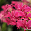 DSC_0761.JPG