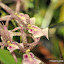 DSC_0764.JPG