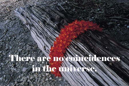 [no coincidences[3].jpg]