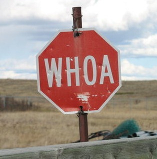 [whoa stop[3].jpg]