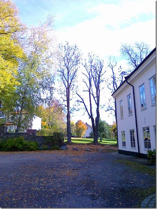 20101017020