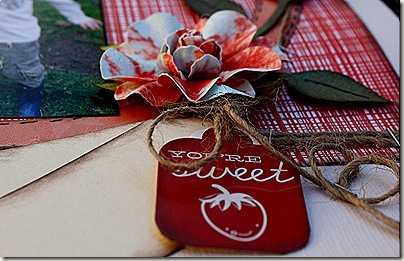 IMG_6964 IMG_6964
