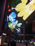 IMG_0045.jpg