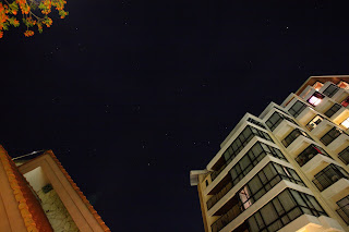 IMG_7805.JPG