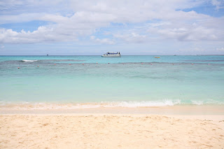 IMG_7878_调整大小.JPG