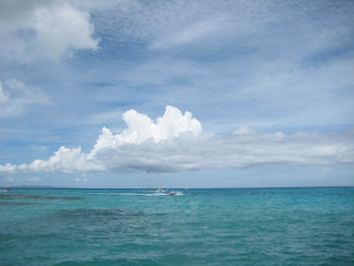 IMG_0309_resize.JPG