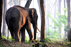 Kerala Slideshow