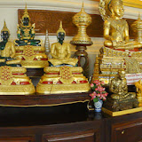 DSC01021