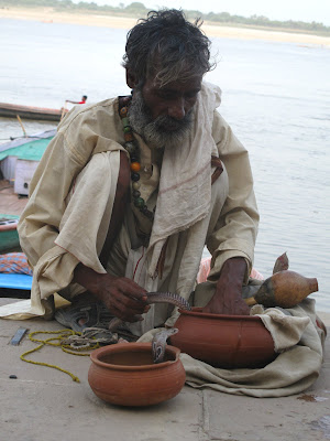 our favourite snake charmer