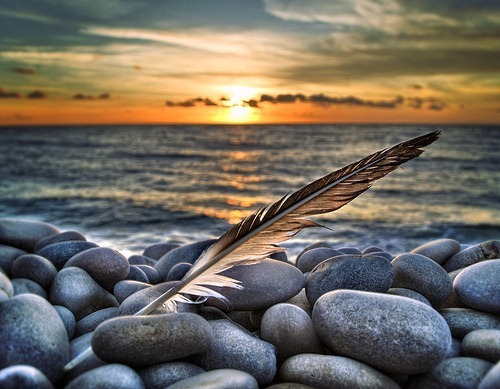 [foto-imagem-HDR-6[9].jpg]