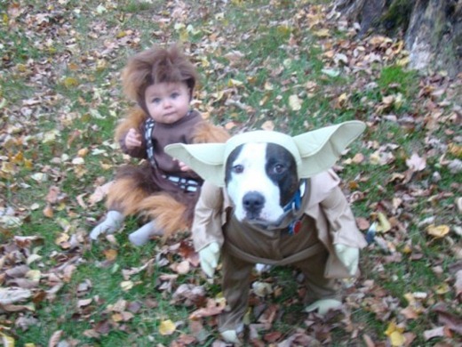 yoda_chewbacca