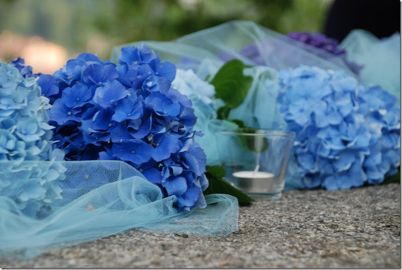 DSC_1135 DSC_1135