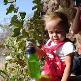 Aili at Nazinga