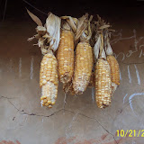Farming Photos