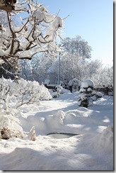 IMG_3361 IMG_3361
