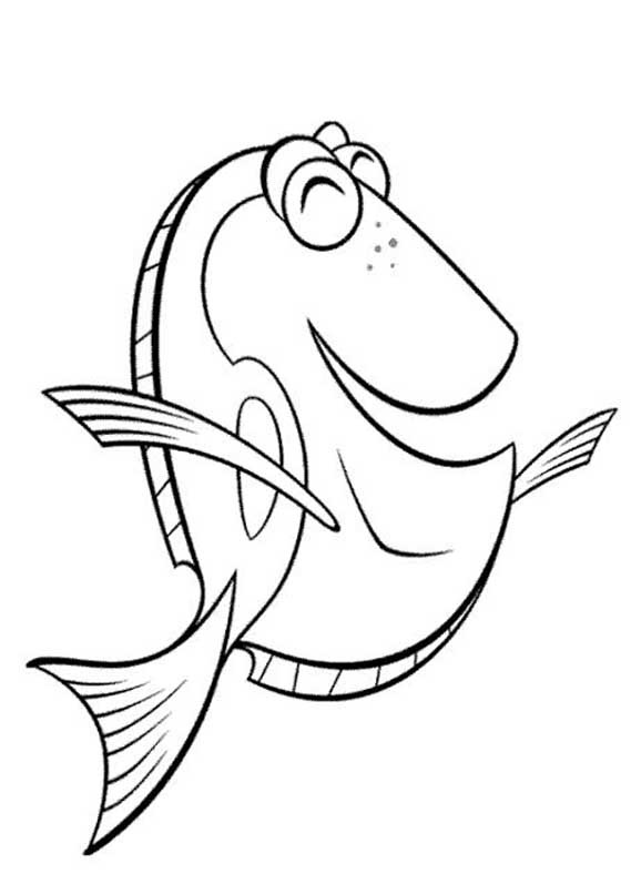 [PROCURANDO NEMO 1[2].jpg]