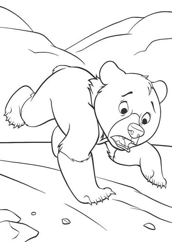 [IRMÃO URSO 19[2].jpg]