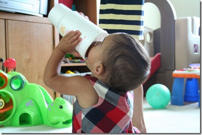 IMG_2647 copy