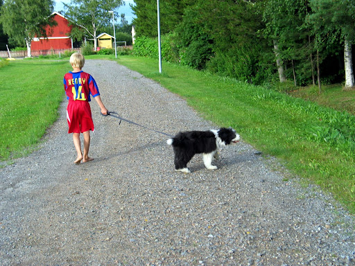 IMG_3115.JPG