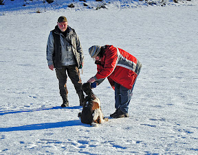 H&aring;ll fast &ouml;vning f&ouml;r Kiwi