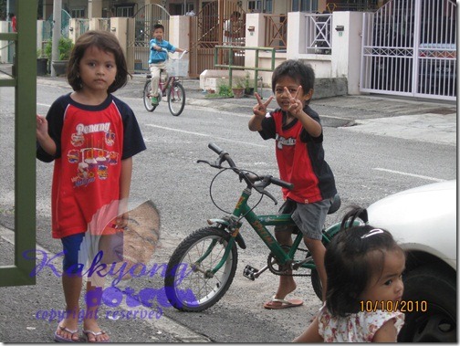 IMG_8559 IMG_8559