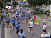COLSEGUROS115.JPG