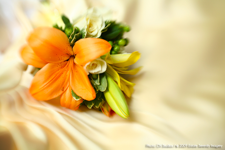 Winchester, Virginia - Brian and Andrea Wedding Preparation and Portraits