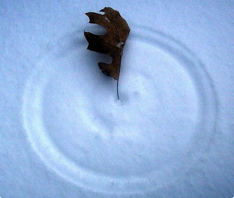 [cirkel in de sneeuw[3].jpg]