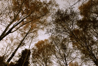 IMG_8144 IMG_8144