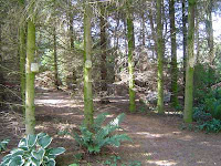 theStonefarm_12.jpg