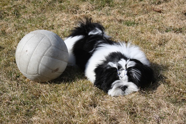 [IMG_5691[3].jpg]