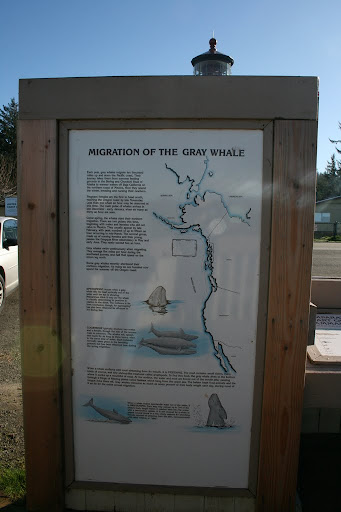 Day 7: Umpqua Lighthouse State Park, Day 7: Umpqua Lighthouse State Park,