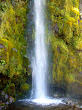 Dawson falls