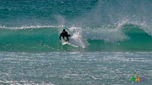 Igna al canti grapadi Igna al canti grapadi