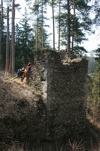 mitrov