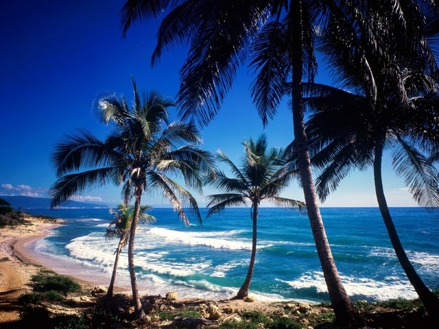[dominican-republic-nature[4].jpg]