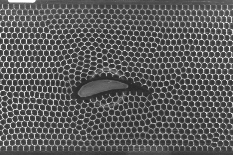 airfoil in foam